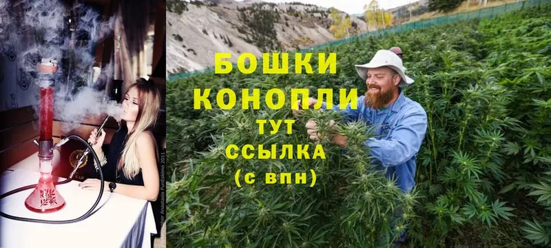 Бошки марихуана Bruce Banner  Аткарск 